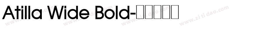 Atilla Wide Bold字体转换